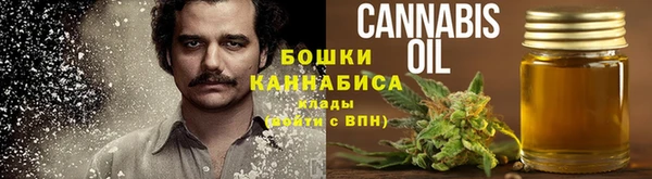 стаф Вязьма