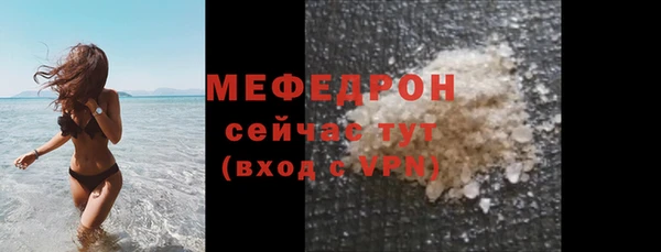 стаф Вязьма