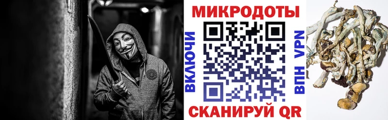 Купить закладки Свирск Галлюциногенные грибы Psilocybe