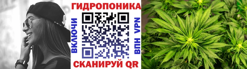 Купить где  Свирск  Каннабис тримм 